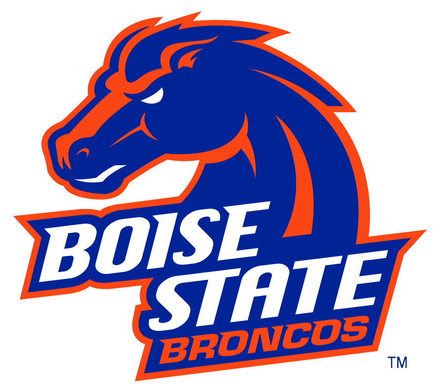 Boise State Broncos 2002-2012 Secondary Logo v29 DIY iron on transfer (heat transfer)
